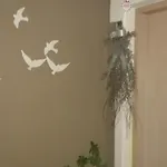 Elpiniki's *